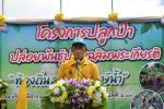 โครงการปลูกป่าเฉลิมพระเกียรติ ท้องถิ่น สร้างป่า รักษ์น้ำ ประ